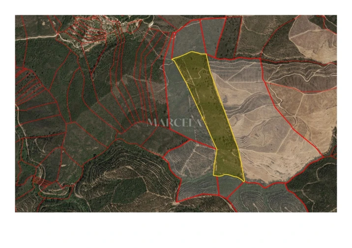 Terreno Agricola ou Rústico para Venda em Aljezur Planta 1