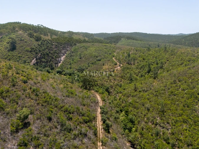 Terreno Agricola ou Rústico para Venda em Aljezur Foto 4