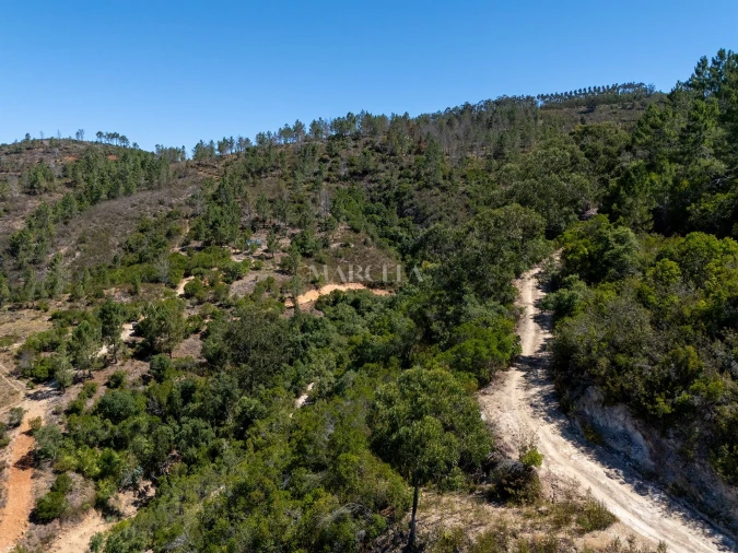 Terreno Agricola ou Rústico para Venda em Aljezur Foto 2