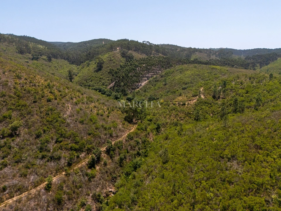 Terreno Agricola ou Rústico para Venda em Aljezur Foto 6