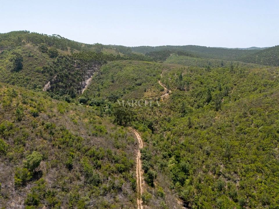 Terreno Agricola ou Rústico para Venda em Aljezur Foto 4
