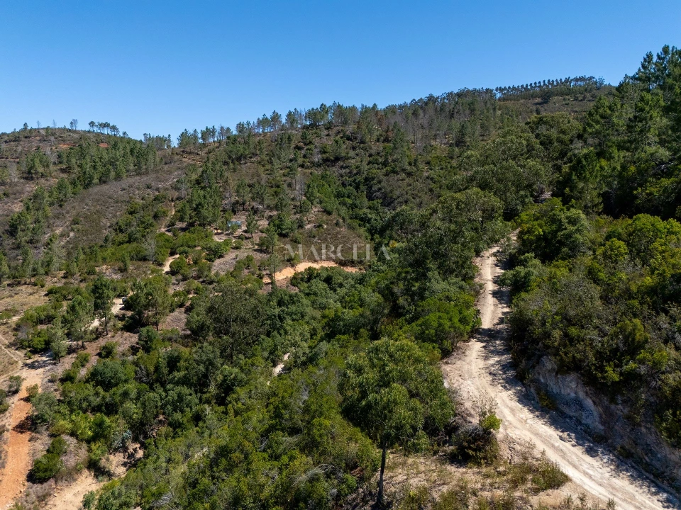 Terreno Agricola ou Rústico para Venda em Aljezur Foto 2