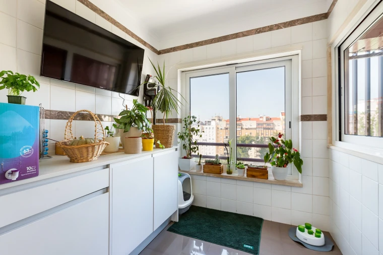 Apartamento T3 para Venda em Lumiar Foto 10