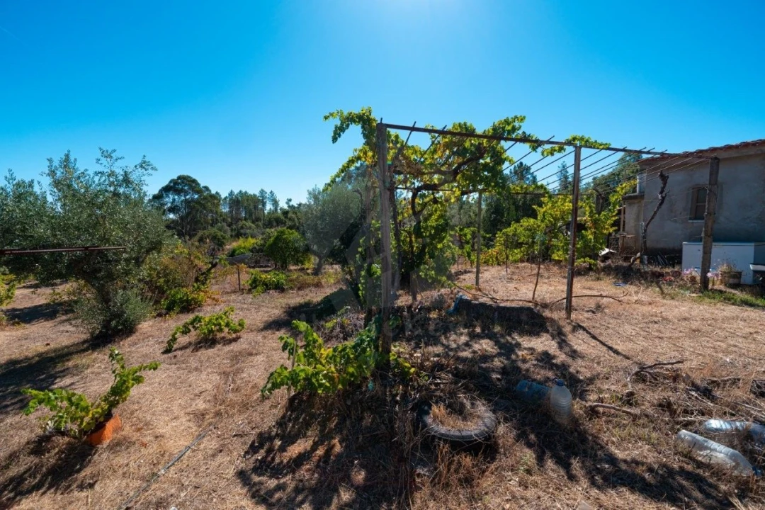 Terreno Agricola ou Rústico para Venda em Salgueiro do Campo Foto 8