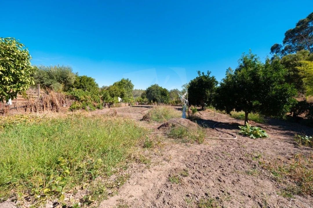 Terreno Agricola ou Rústico para Venda em Salgueiro do Campo Foto 30