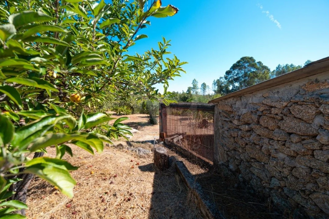 Terreno Agricola ou Rústico para Venda em Salgueiro do Campo Foto 22
