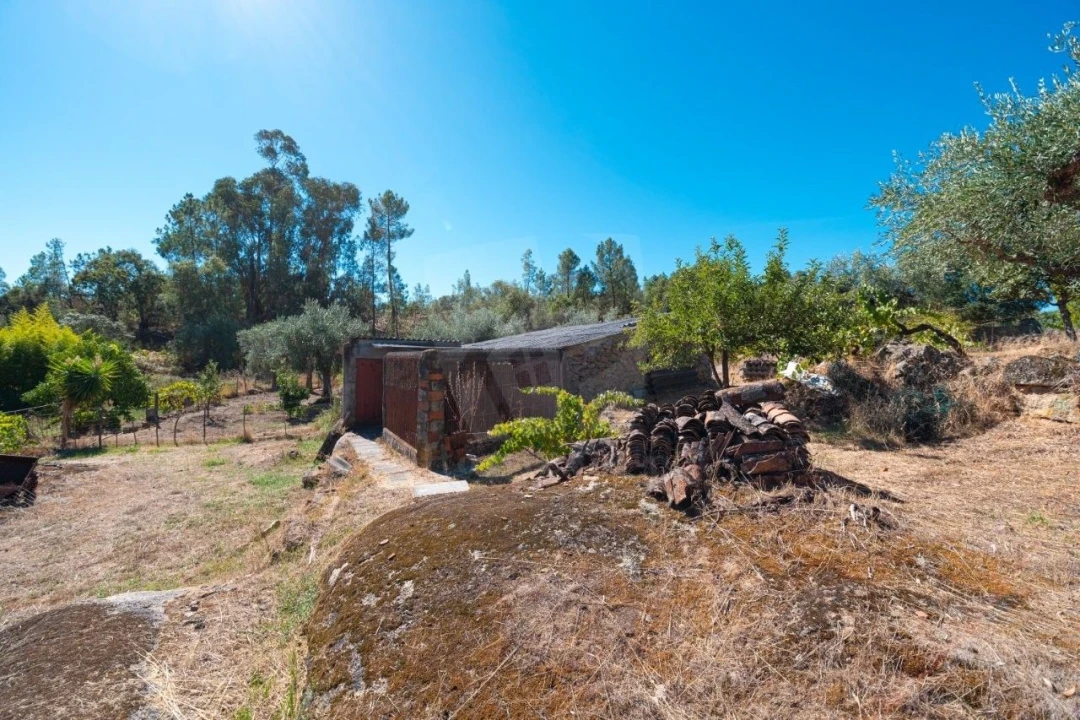 Terreno Agricola ou Rústico para Venda em Salgueiro do Campo Foto 18