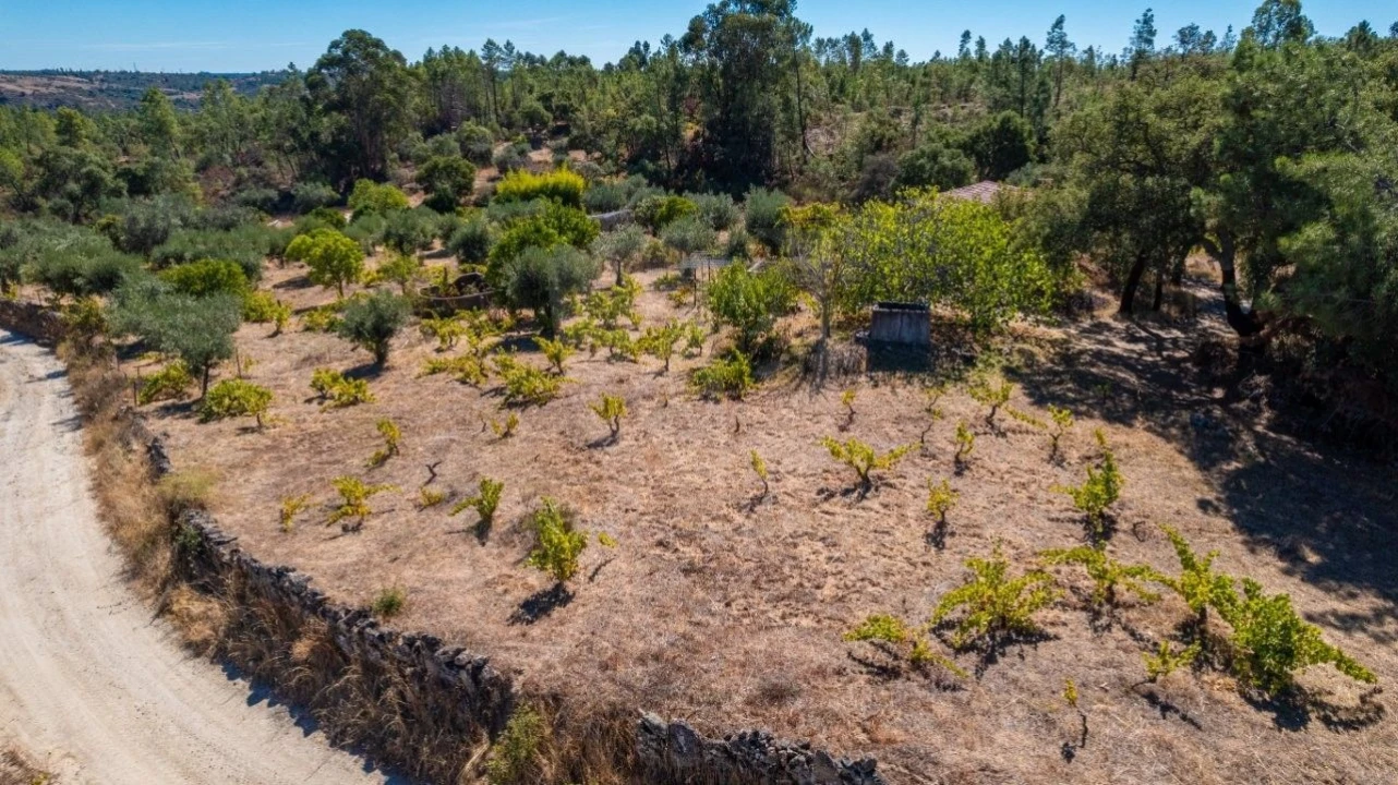 Terreno Agricola ou Rústico para Venda em Salgueiro do Campo Foto 39