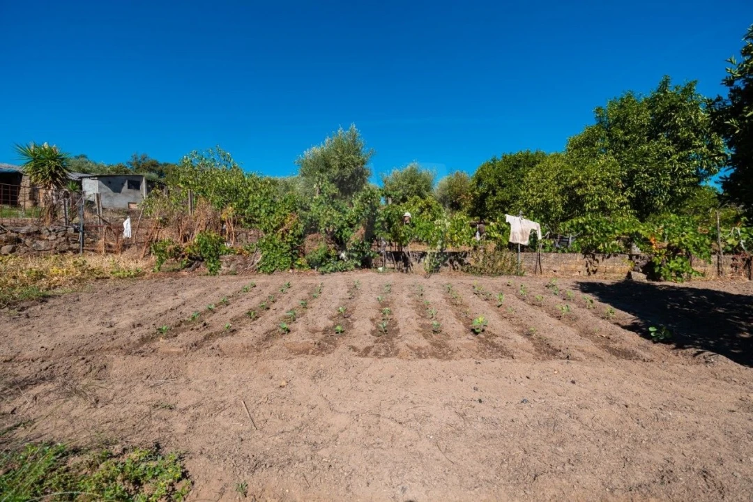 Terreno Agricola ou Rústico para Venda em Salgueiro do Campo Foto 32