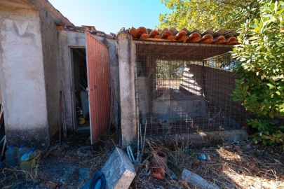 Terreno Agricola ou Rústico para Venda em Salgueiro do Campo