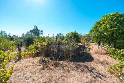 Terreno Agricola ou Rústico para Venda em Salgueiro do Campo