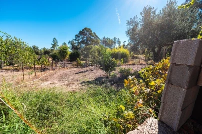 Terreno Agricola ou Rústico para Venda em Salgueiro do Campo