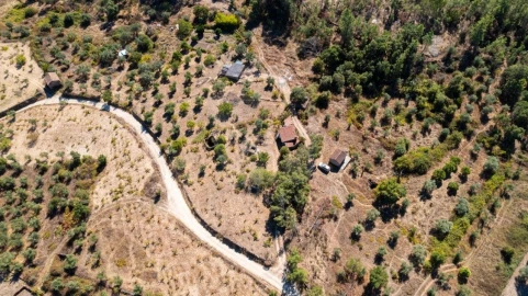 Terreno Agricola ou Rústico para Venda em Salgueiro do Campo