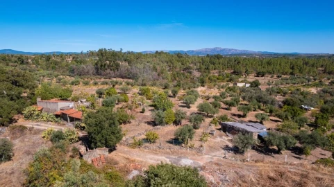 Terreno Agricola ou Rústico para Venda em Salgueiro do Campo