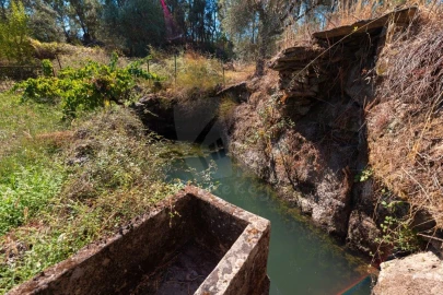 Terreno Agricola ou Rústico para Venda em Salgueiro do Campo