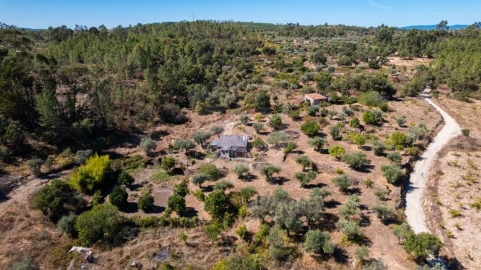 Terreno Agricola ou Rústico para Venda em Salgueiro do Campo