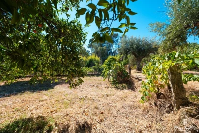 Terreno Agricola ou Rústico para Venda em Salgueiro do Campo