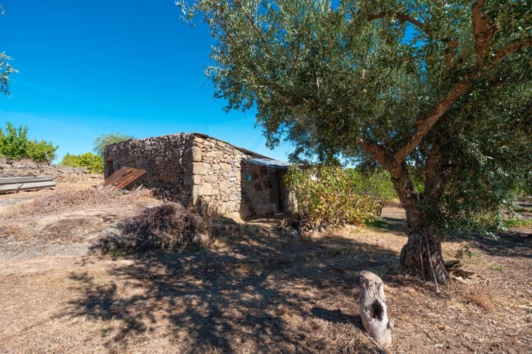 Terreno Agricola ou Rústico para Venda em Salgueiro do Campo Foto 25