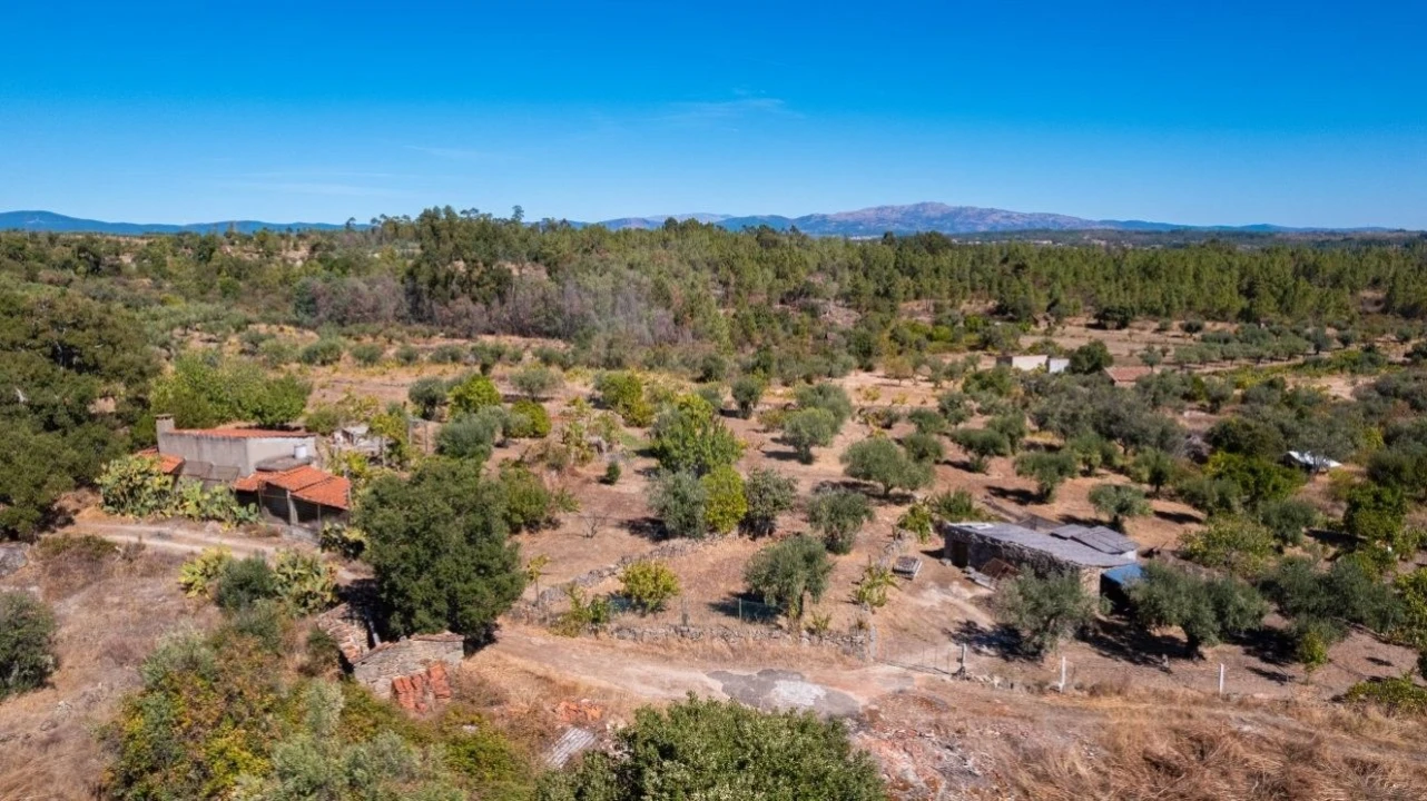 Terreno Agricola ou Rústico para Venda em Salgueiro do Campo Foto 3