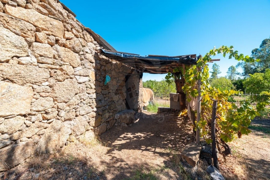Terreno Agricola ou Rústico para Venda em Salgueiro do Campo Foto 26