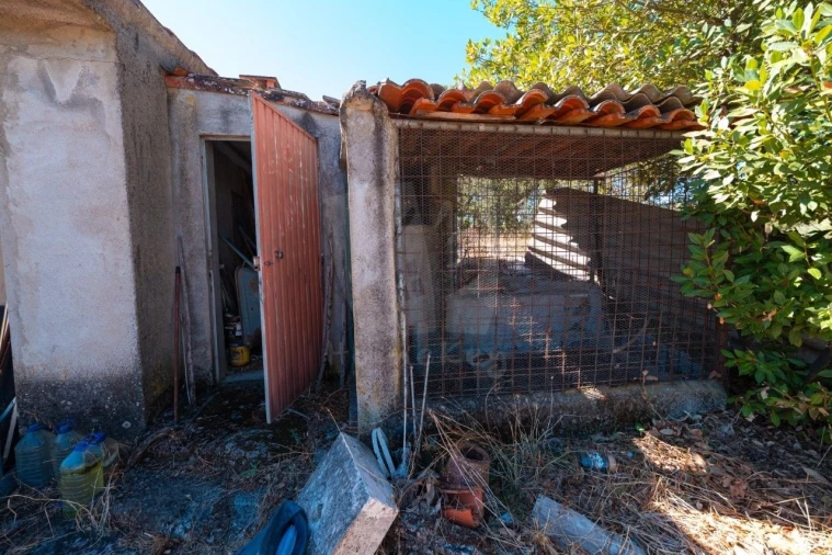 Terreno Agricola ou Rústico para Venda em Salgueiro do Campo Foto 12