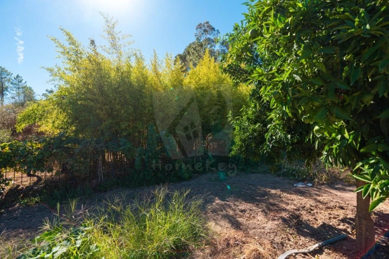 Terreno Agricola ou Rústico para Venda em Salgueiro do Campo Foto 33