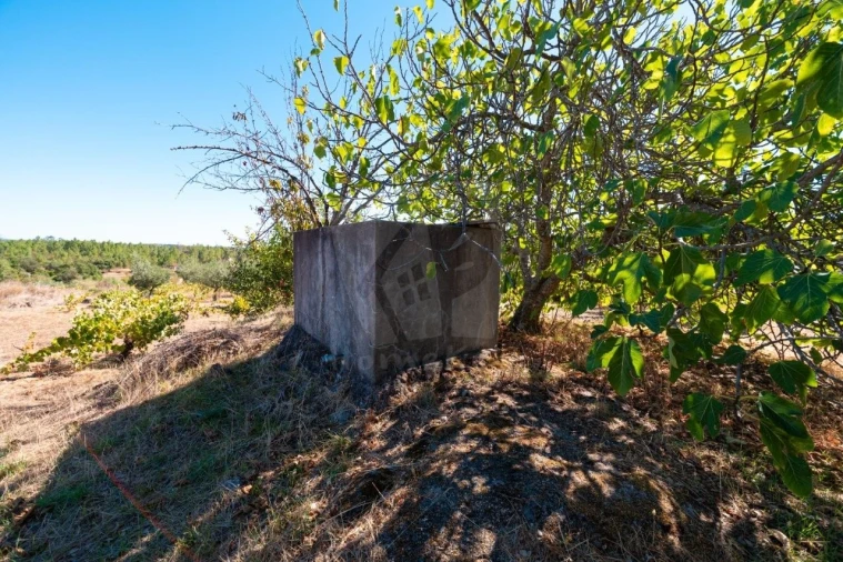 Terreno Agricola ou Rústico para Venda em Salgueiro do Campo Foto 6