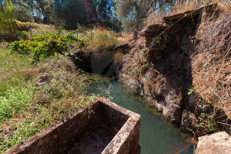 Terreno Agricola ou Rústico para Venda em Salgueiro do Campo Foto 29