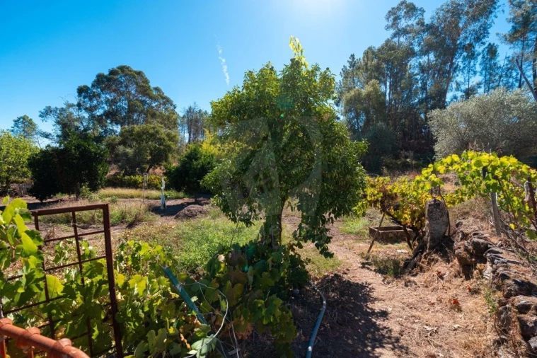 Terreno Agricola ou Rústico para Venda em Salgueiro do Campo Foto 28