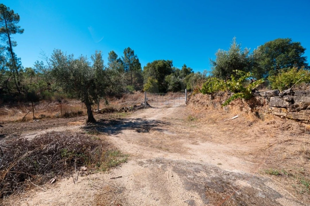 Terreno Agricola ou Rústico para Venda em Salgueiro do Campo Foto 24