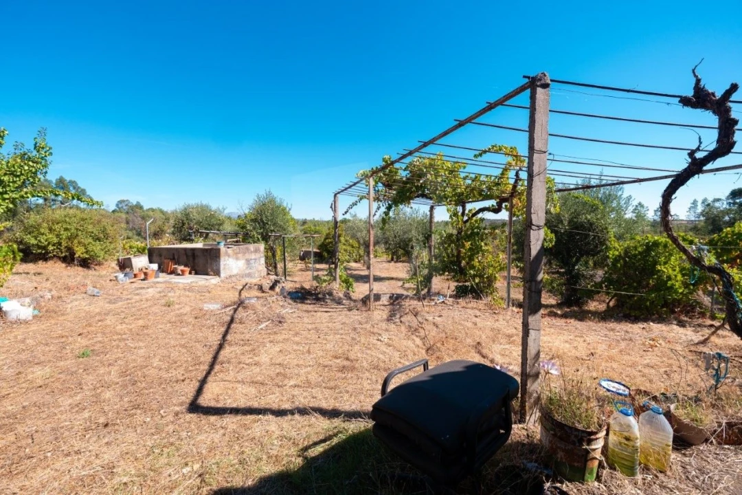 Terreno Agricola ou Rústico para Venda em Salgueiro do Campo Foto 13