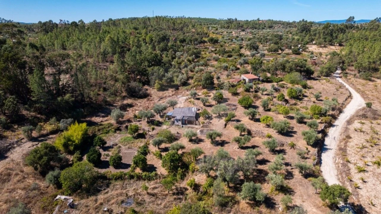 Terreno Agricola ou Rústico para Venda em Salgueiro do Campo Foto 36