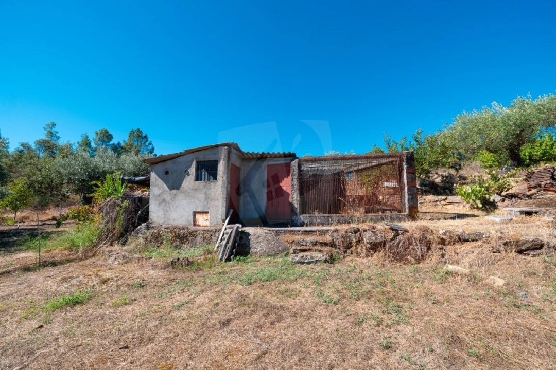 Terreno Agricola ou Rústico para Venda em Salgueiro do Campo Foto 19