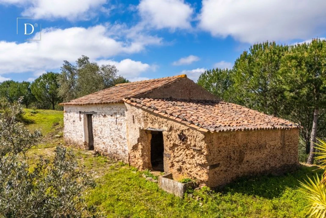Moradia para Venda em Silves Foto 2