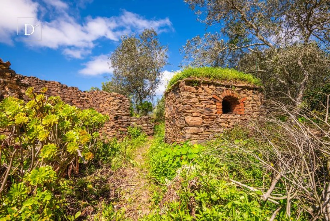 Moradia para Venda em Silves Foto 11