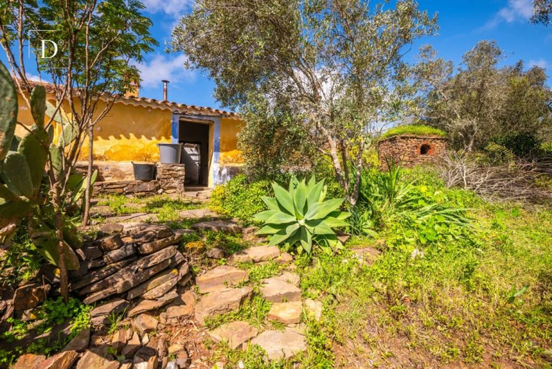 Moradia para Venda em Silves Foto 10