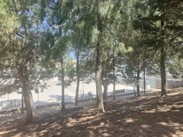 Apartamento T1 para Arrendamento em Alvalade