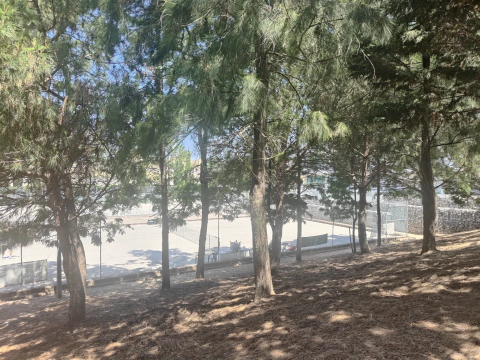 Apartamento T1 para Arrendamento em Alvalade Foto 14