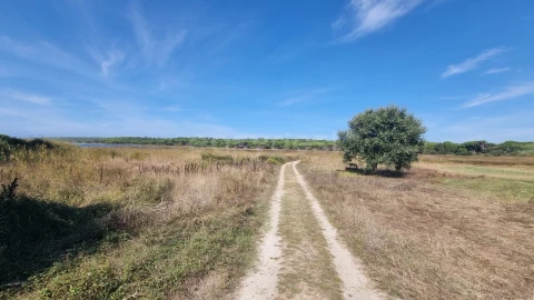 Terreno para Venda em Sesimbra (Castelo)