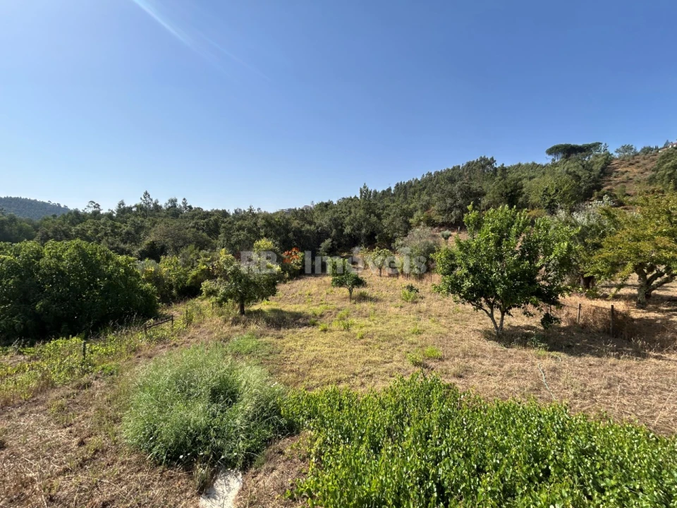 Moradia T7 para Venda em Serra e Junceira Foto 4