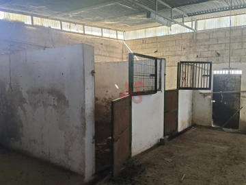 Moradia T3 para Venda em Odiaxere