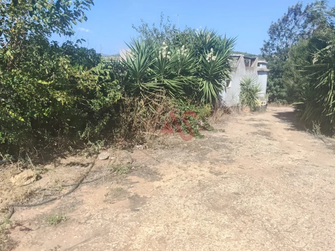 Moradia T3 para Venda em Odiaxere Foto 5