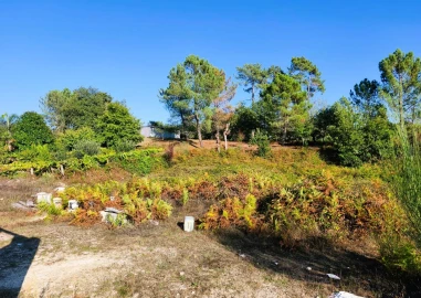 Terreno para Venda em Couto