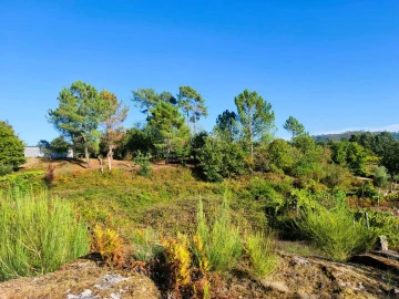 Terreno para Venda em Couto