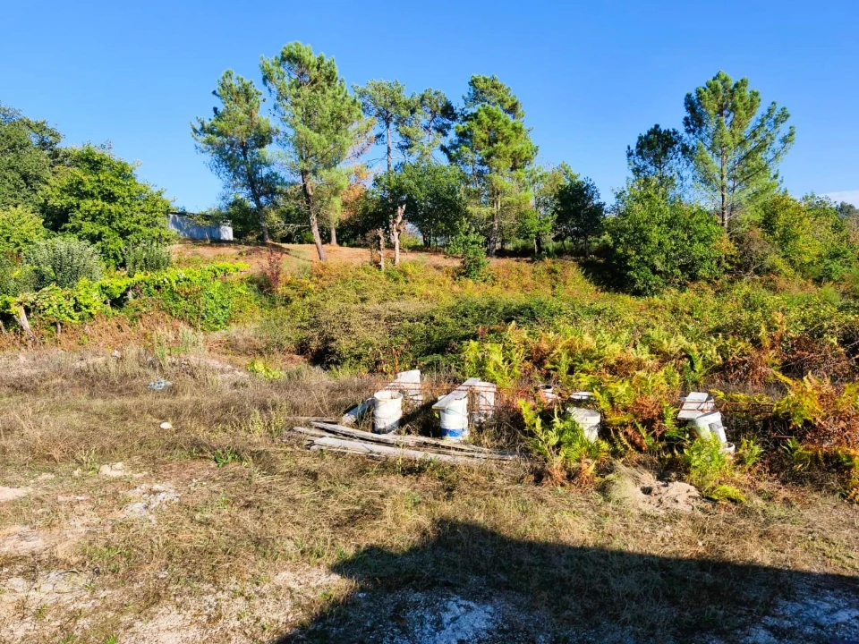 Terreno para Venda em Couto Foto 9