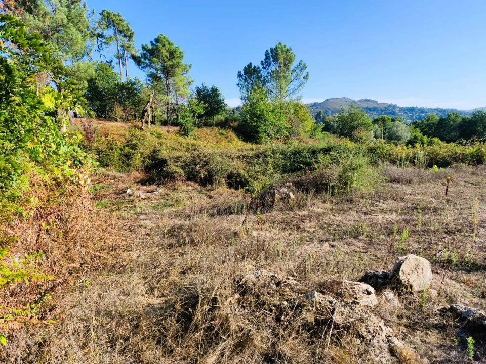 Terreno para Venda em Couto Foto 4