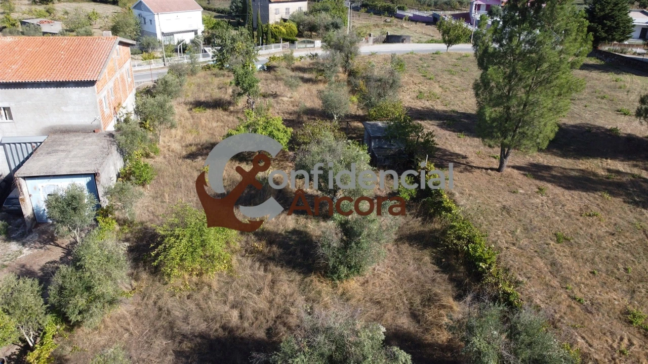 Terreno para Venda em São Paio Foto 2