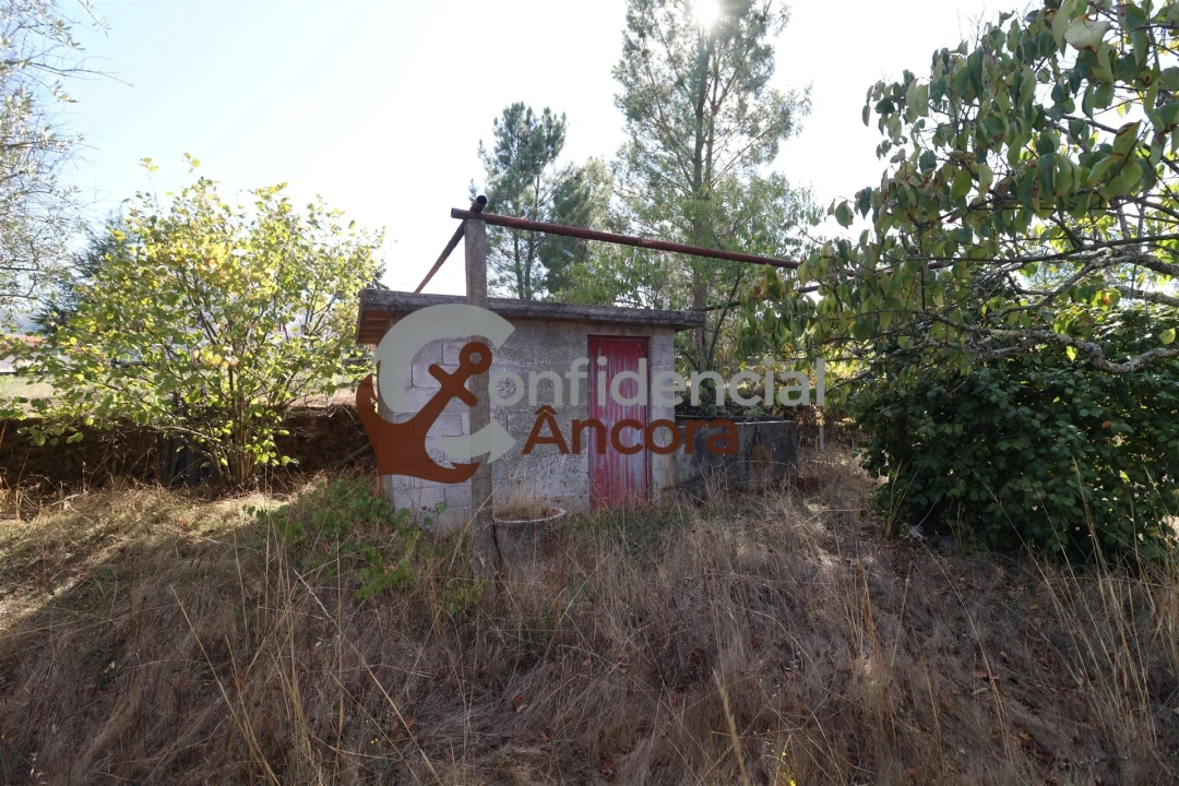 Terreno para Venda em São Paio Foto 17