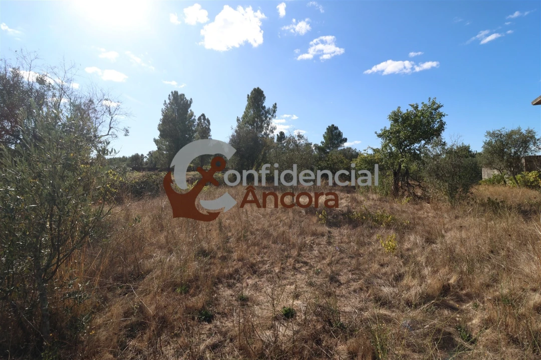 Terreno para Venda em São Paio Foto 14