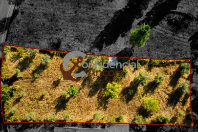 Terreno para Venda em São Paio